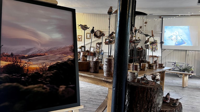 To the right of the image is a large canvas with a photo of a landscape at sunset, in the background are other art installations.
